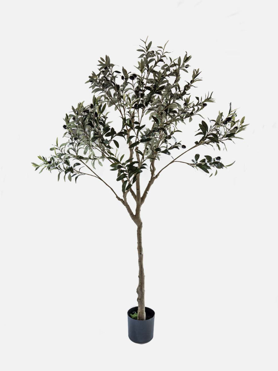 faux olive tree