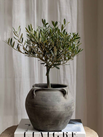 Antique clay pot with handles