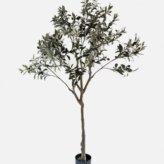  faux olive tree